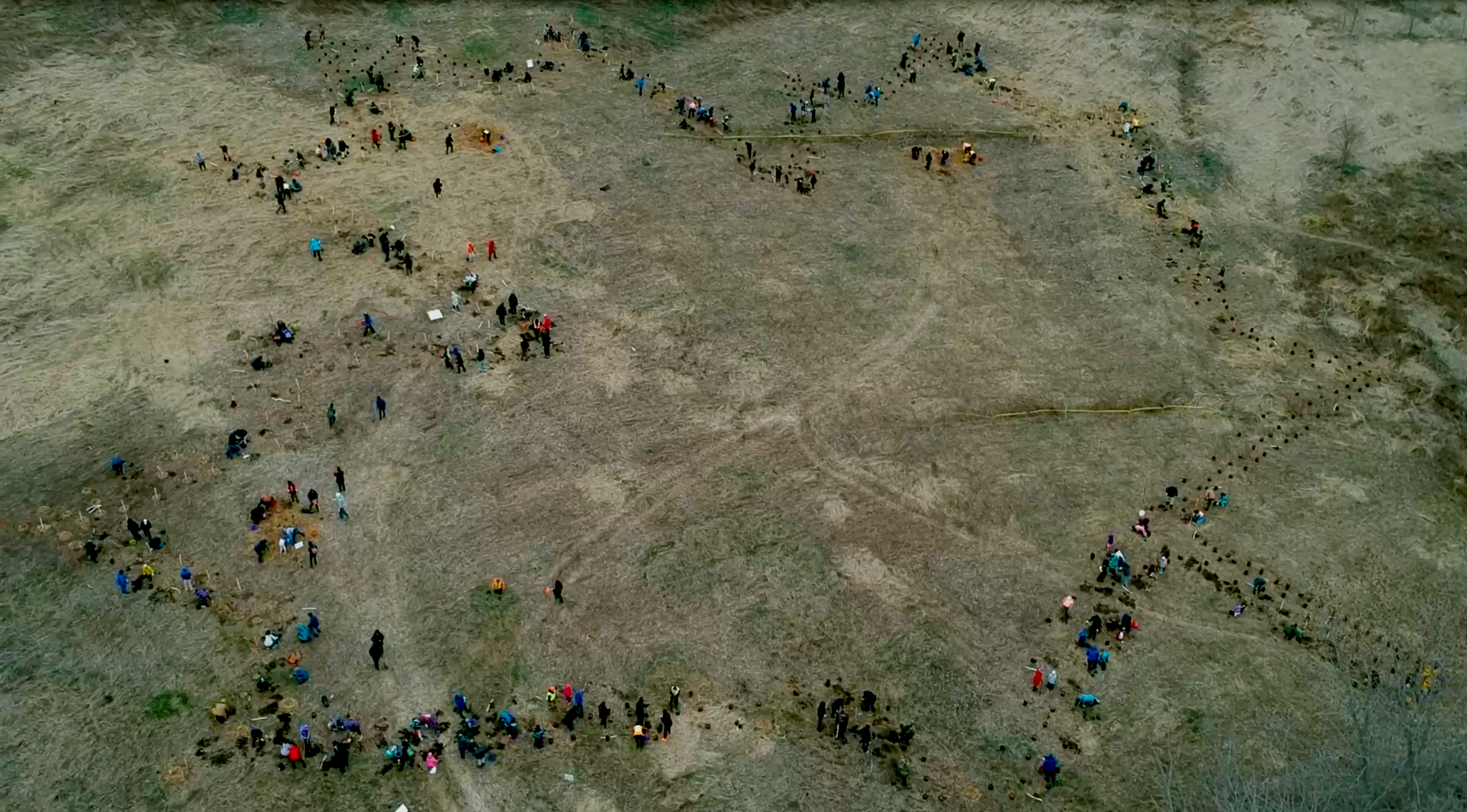 Aerial view of Ajax Welcome Forest planting in the shape of a maple leaf