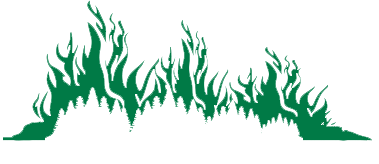 Green flames or fire silhouette on a black background.