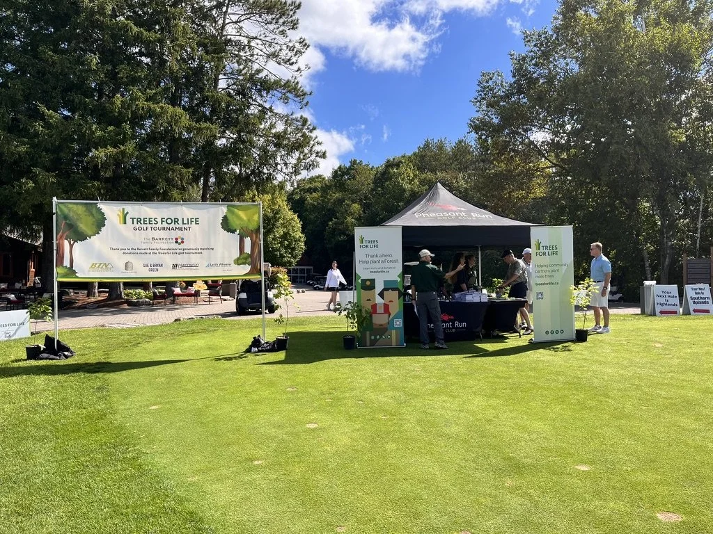 Platinum Sponsorship