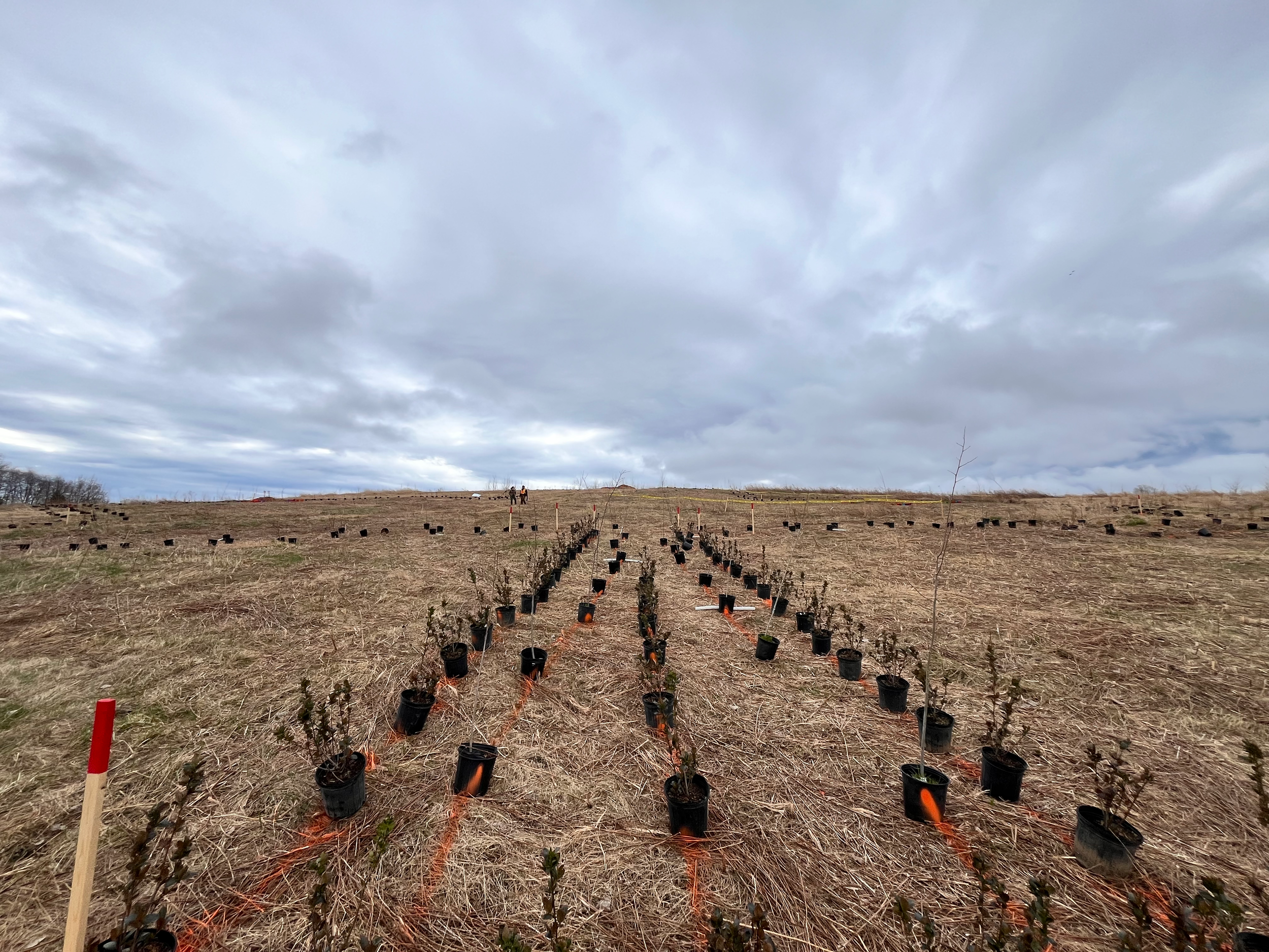 Ajax Welcome Forest - Ajax, ON