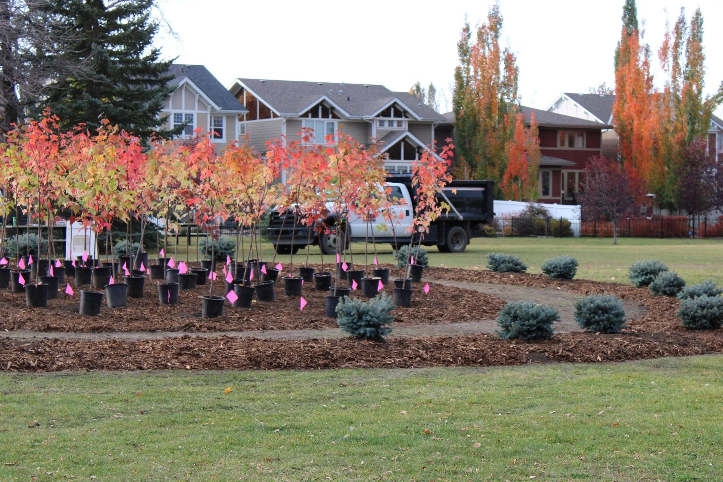 A.D. Ross Park - Calgary AB