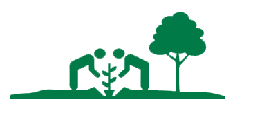 Two people planting a small tree together outdoors, with a larger tree nearby, on a grassy area.