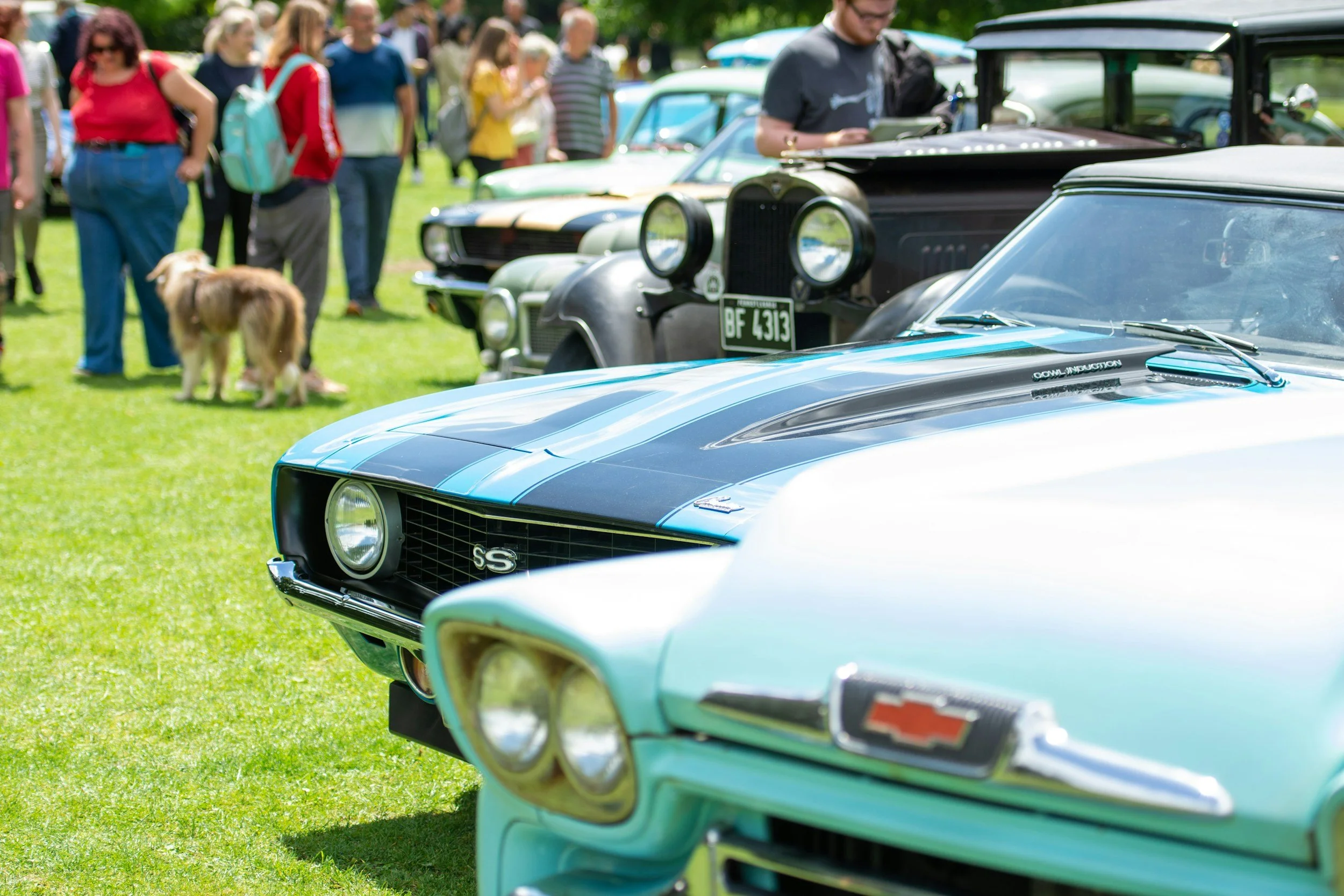 Car Show