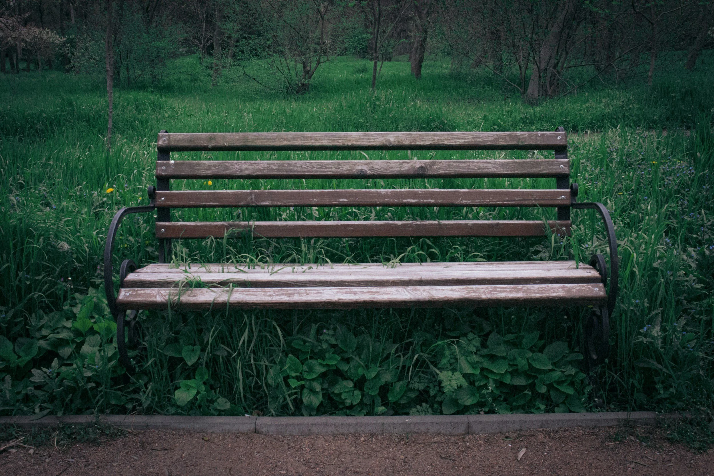 Park Board Meeting
