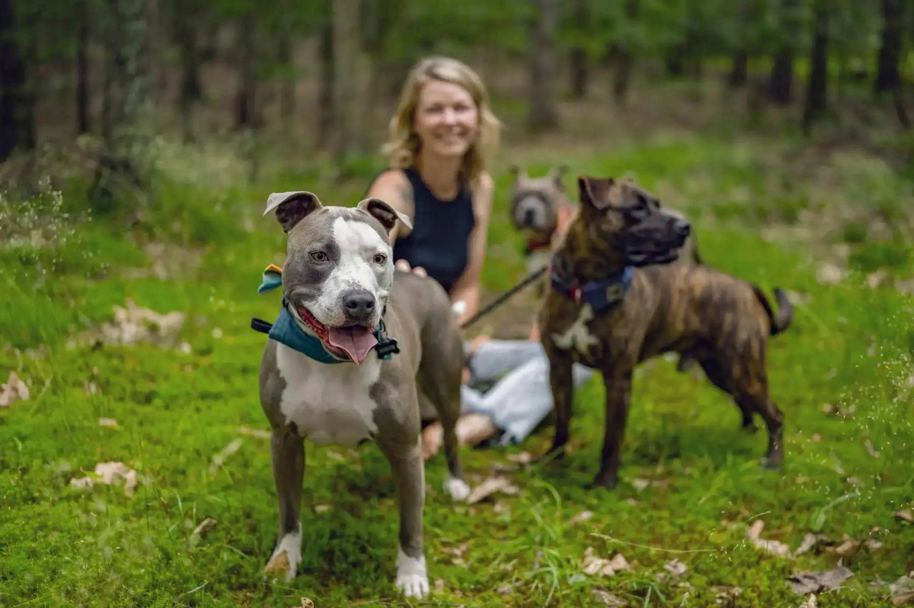 Blending Human Healing and Animal Rescue at Endless Mountains Vineyards