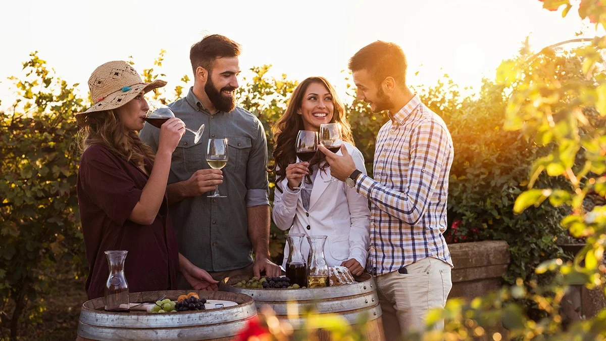How Wellness Sessions Shape the Guest Experience at the Vineyards