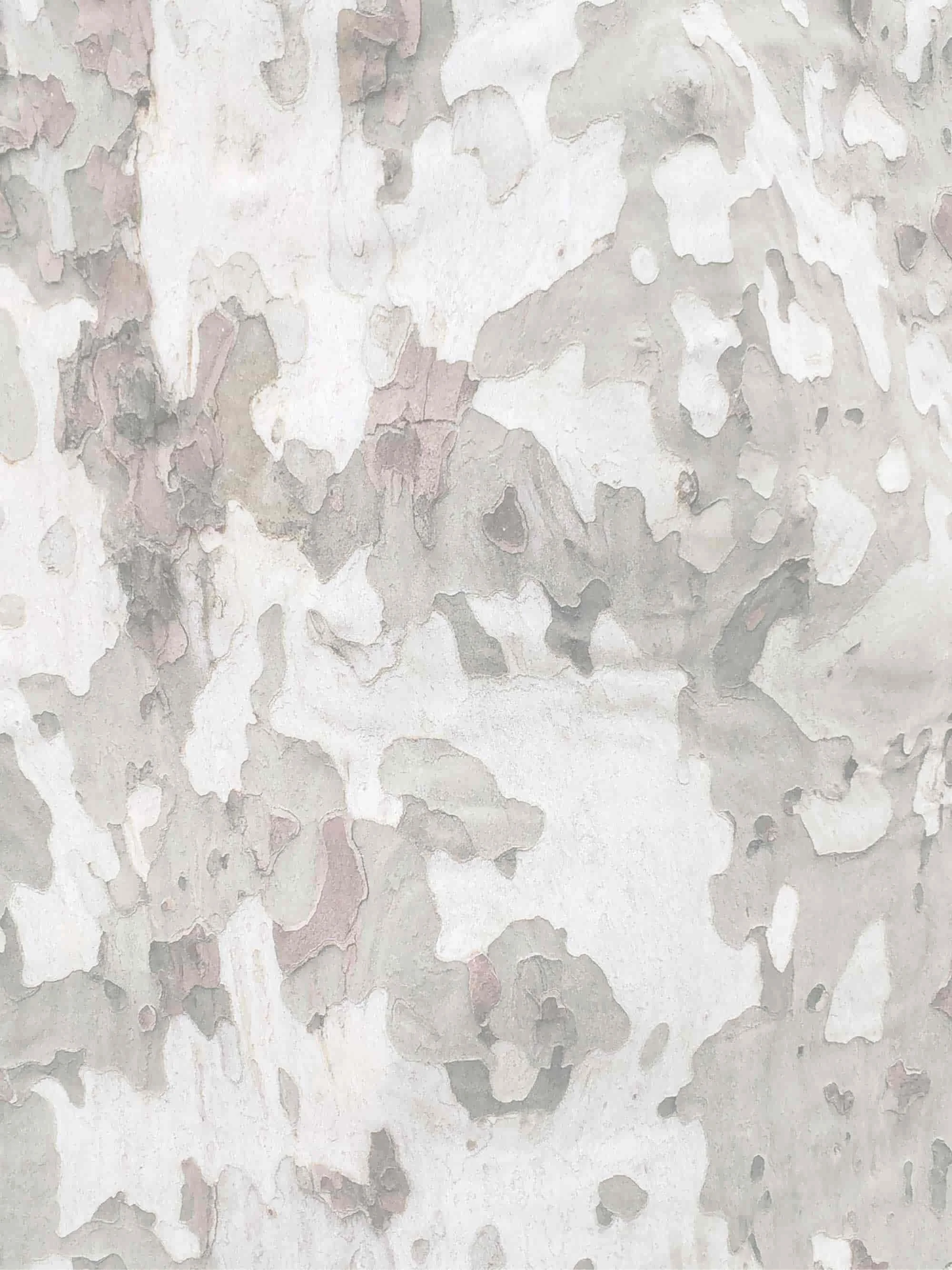 Close-up of a textured, peeling paint surface with patches of white, gray, and pinkish hues.