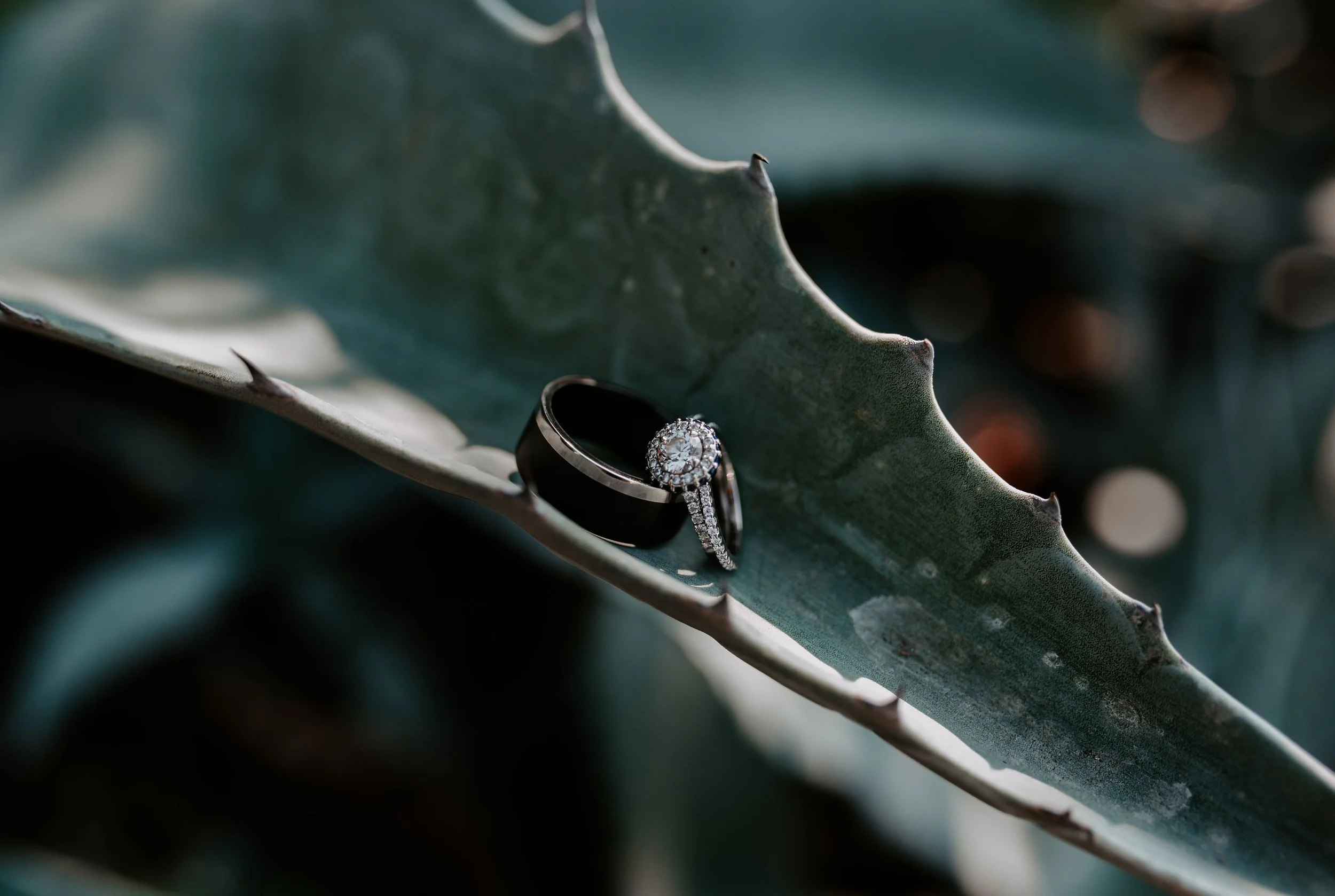 Editorial wedding ring detail photographed on natural textures during a Seattle wedding.