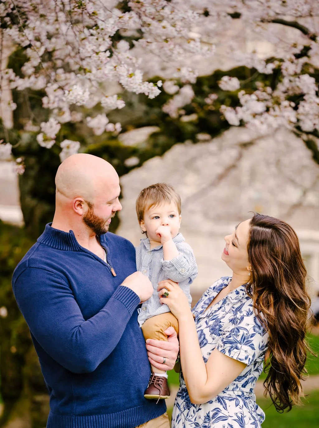 Family portrait with parents and toddler photographed under cherry blossoms at the University of Washington in Seattle