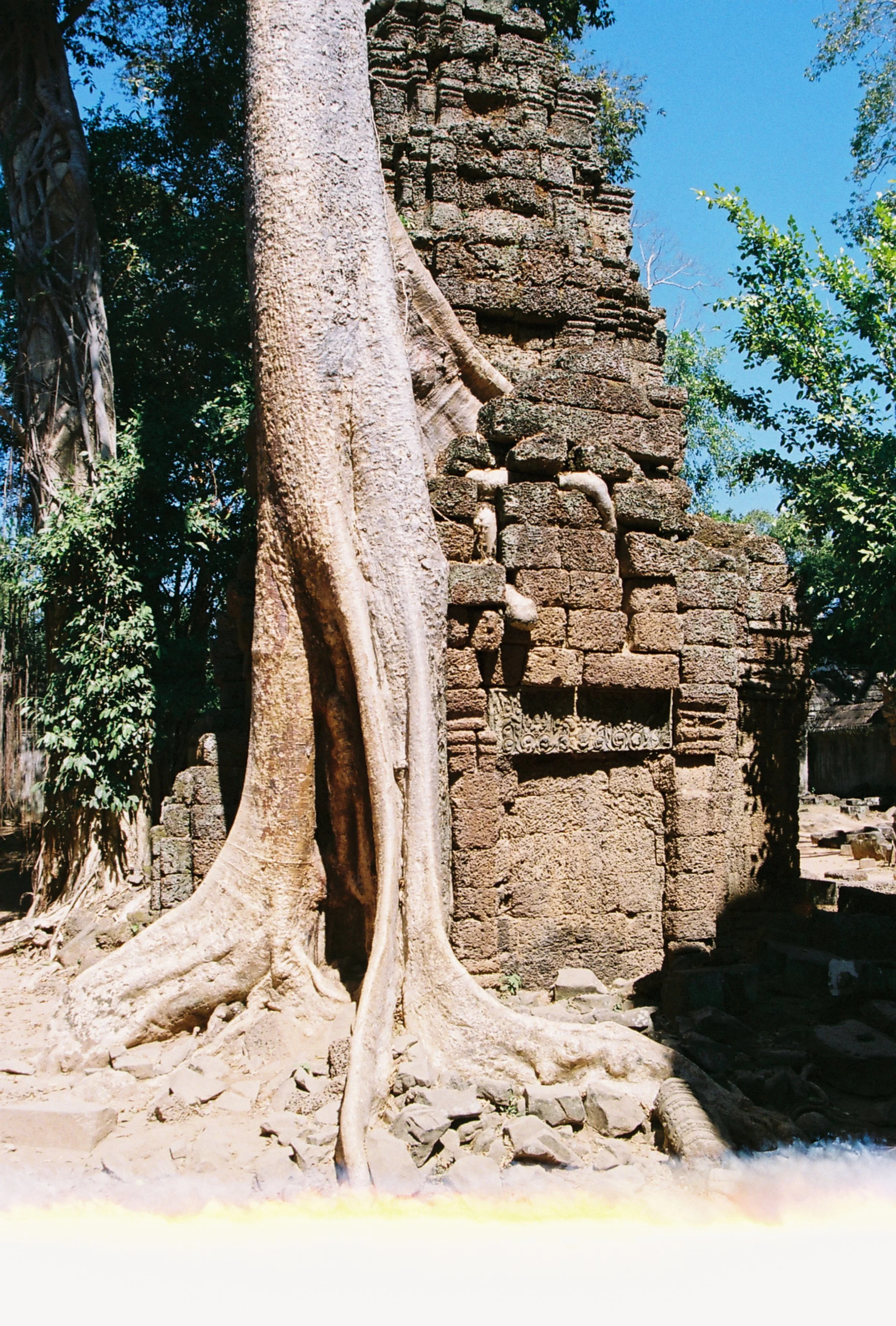 A012990-R1-00-00.JPG