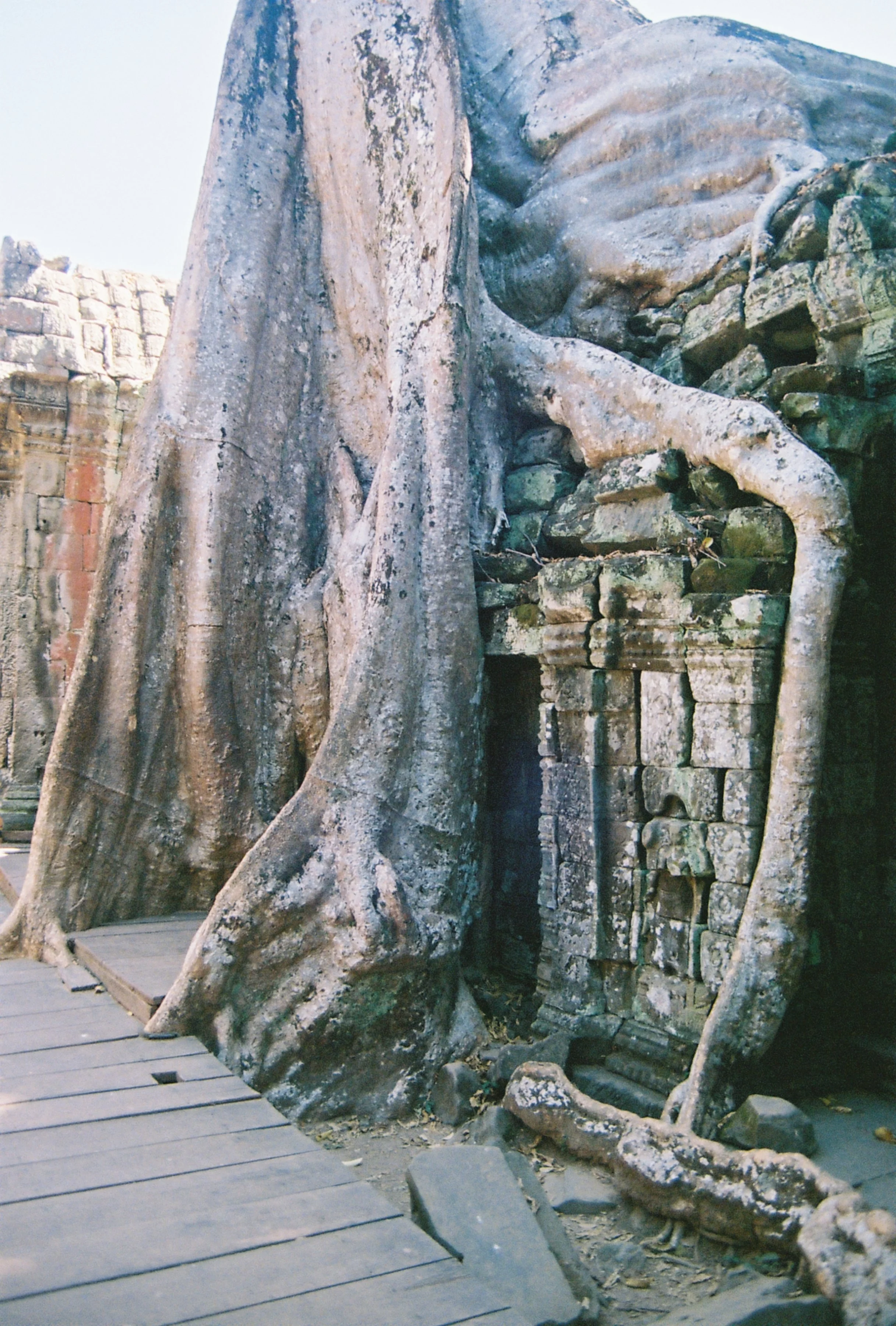 A012990-R1-15-14.JPG