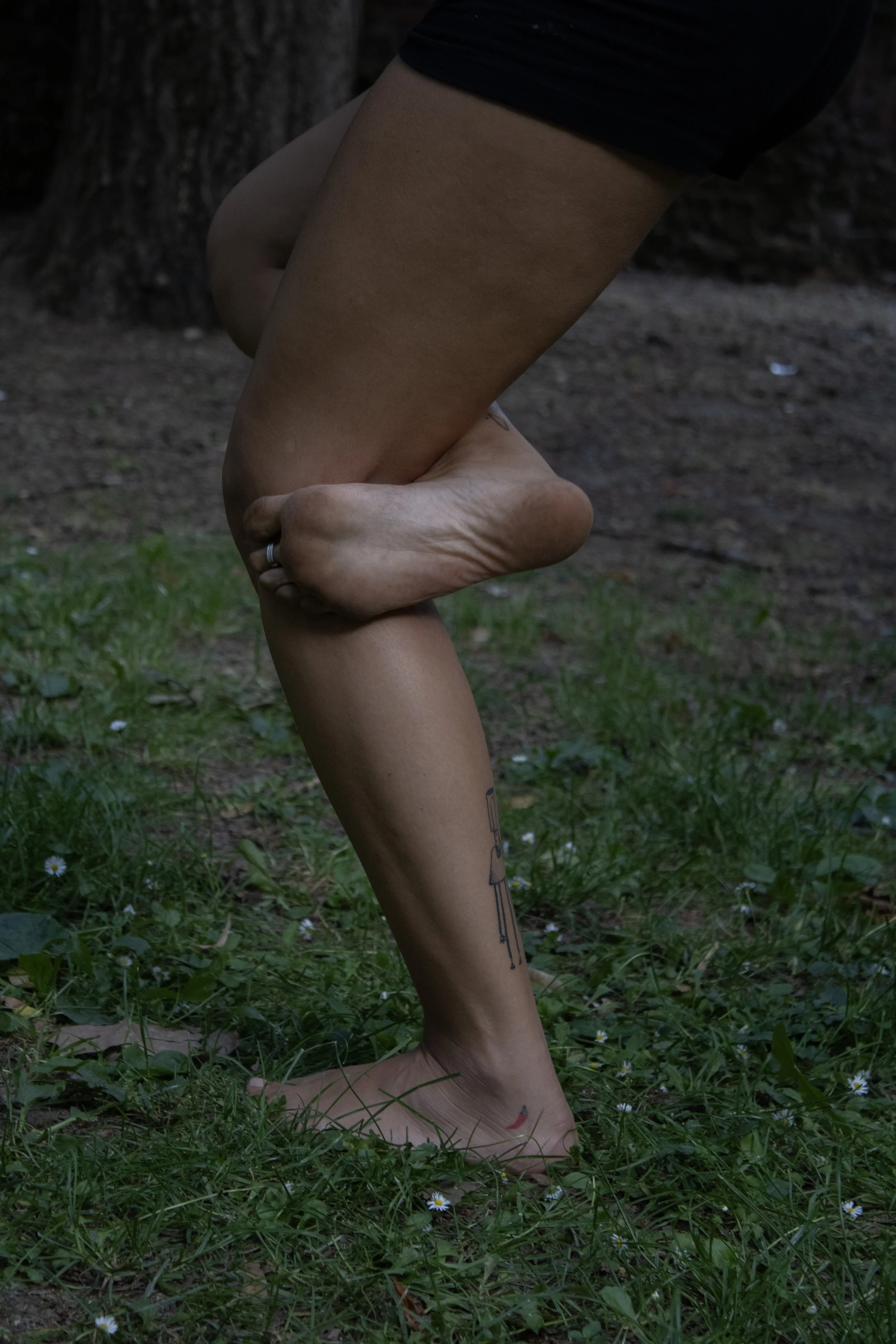 IMG_6408.jpg