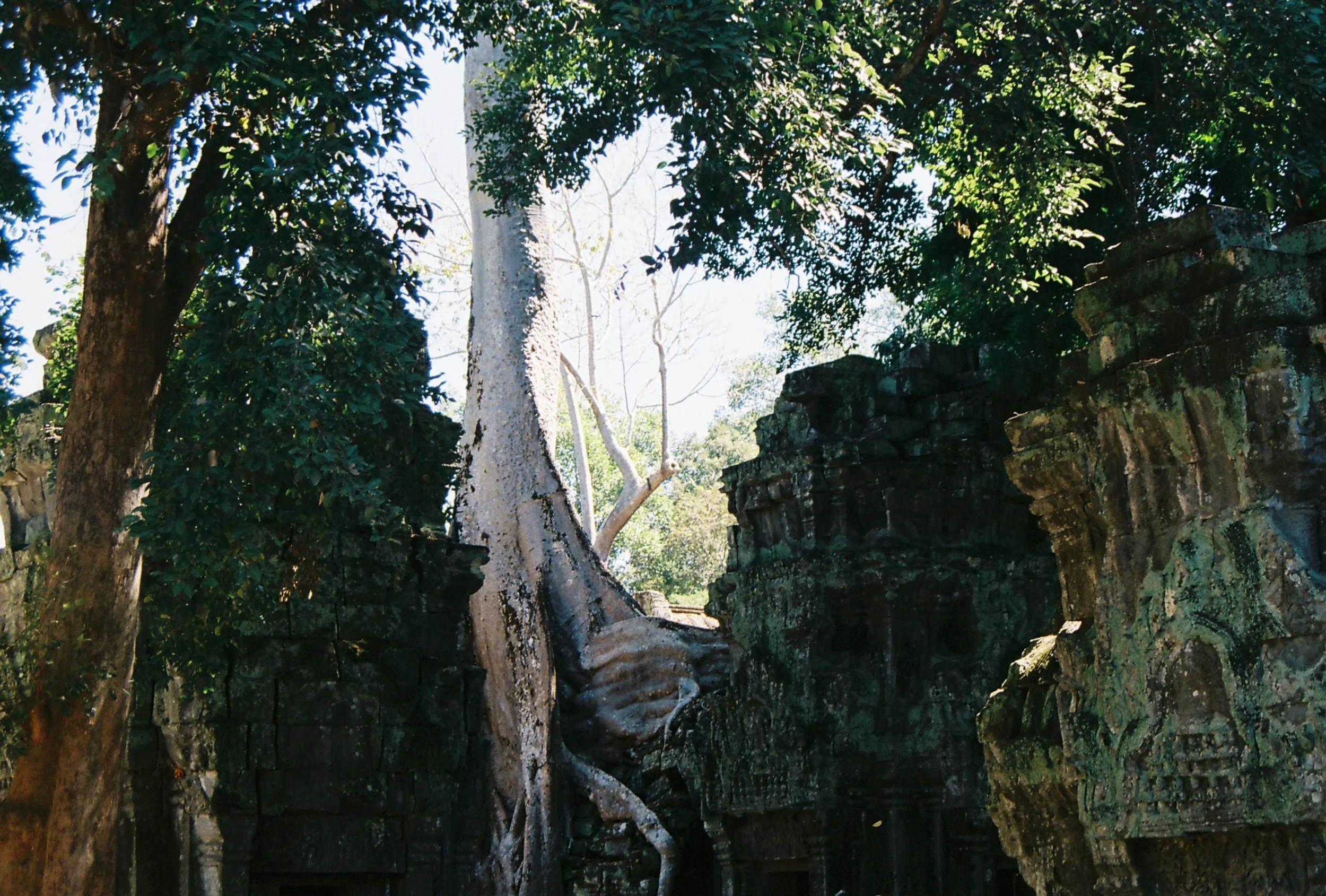 A012990-R1-12-11.JPG