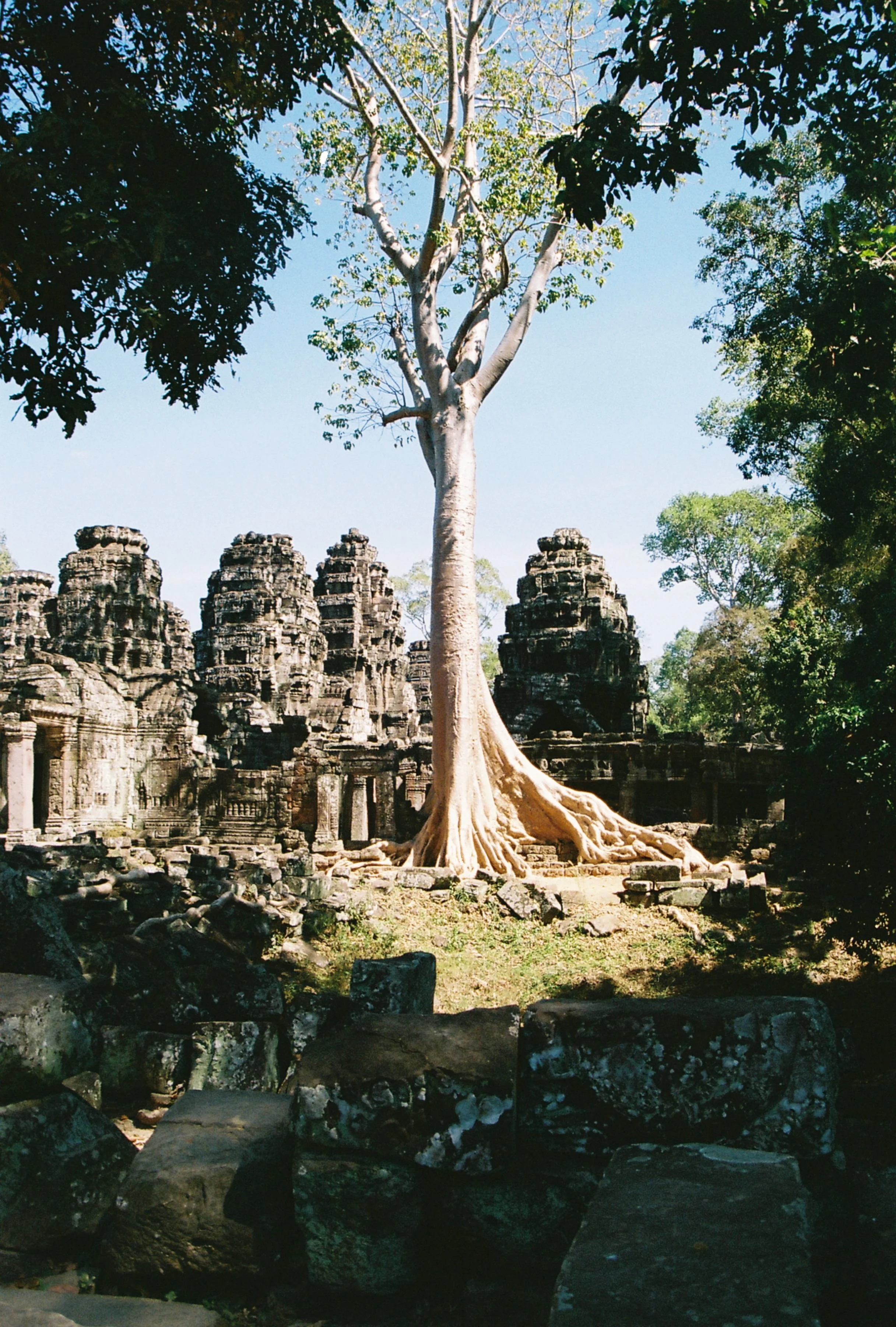 A012990-R1-27-26.JPG