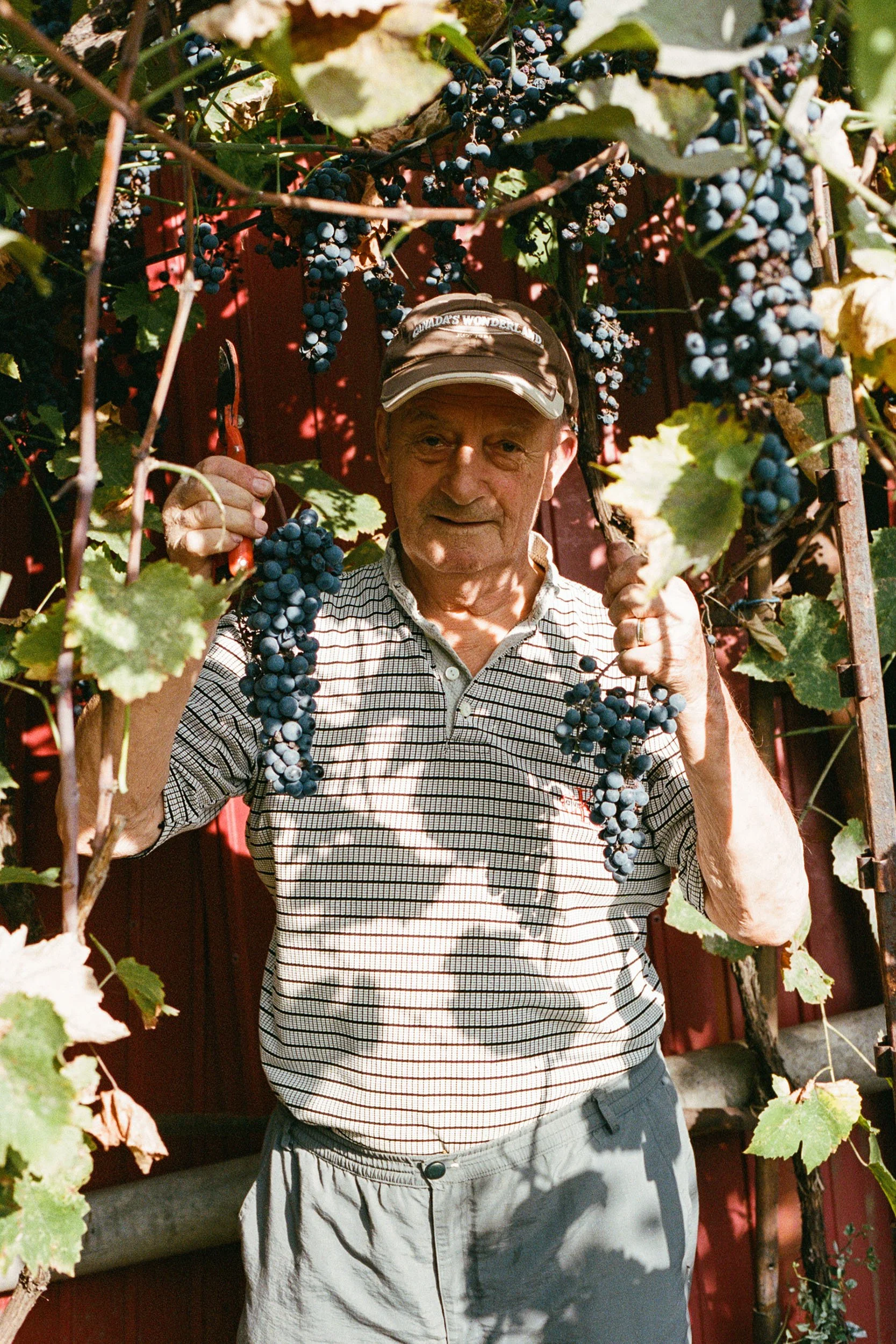 2- grandpa.jpg