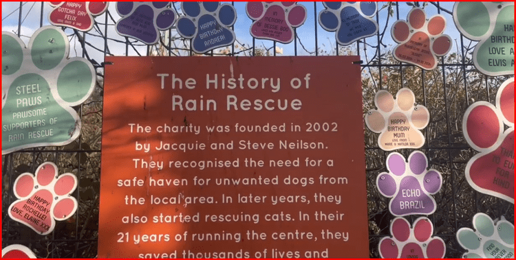 The History of Rain Rescue
