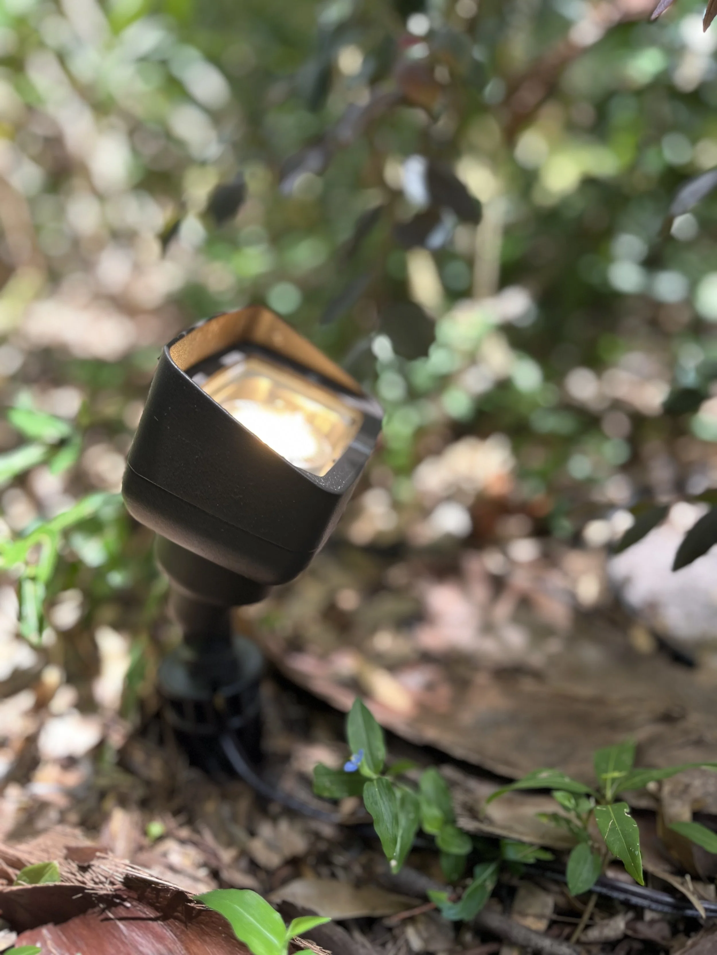 Garden lighting fixture installed among leaves and small plants on the ground
