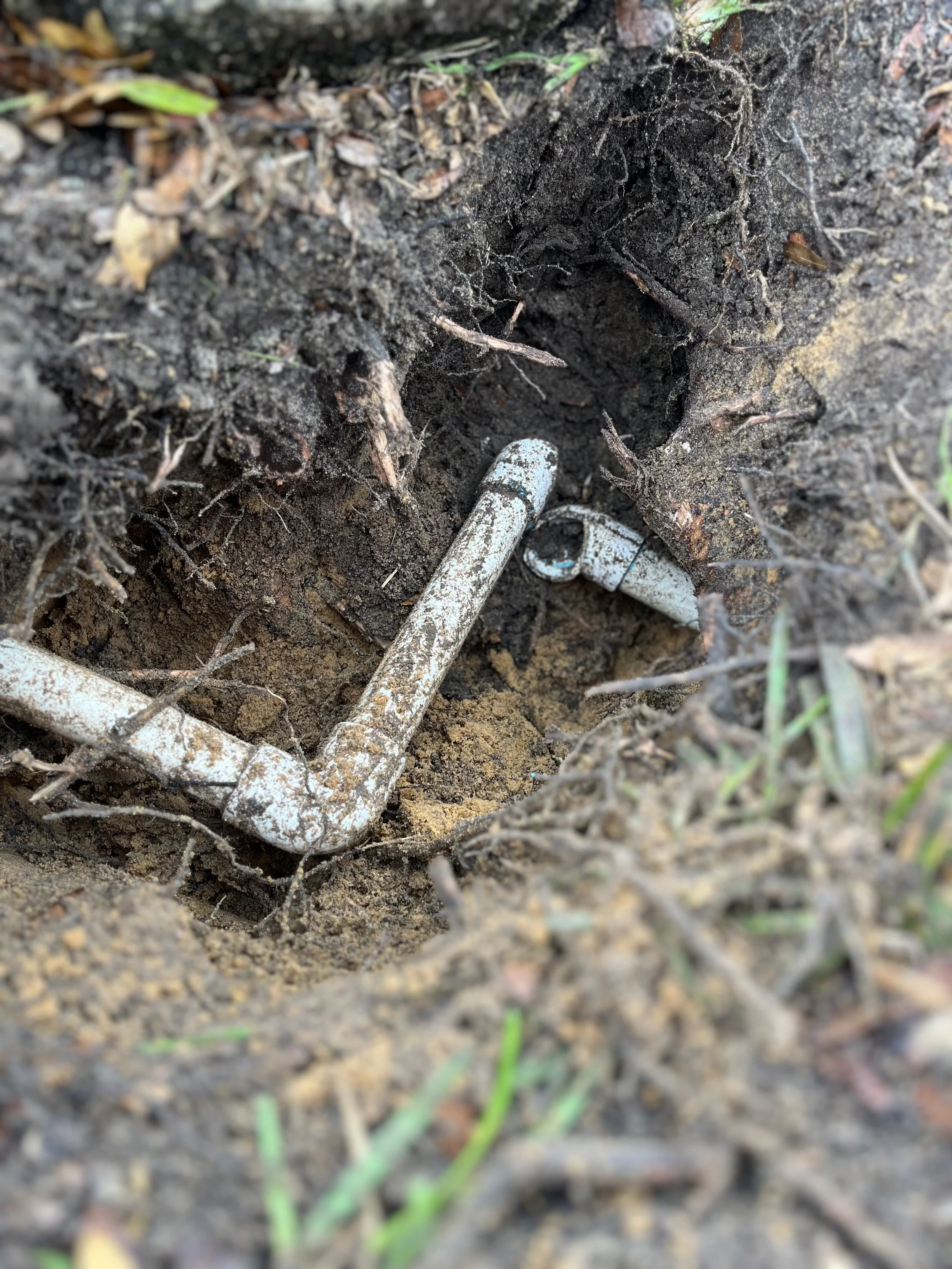 Close-up of an exposed underground pipe with an elbow joint, surrounded by soil and small roots.