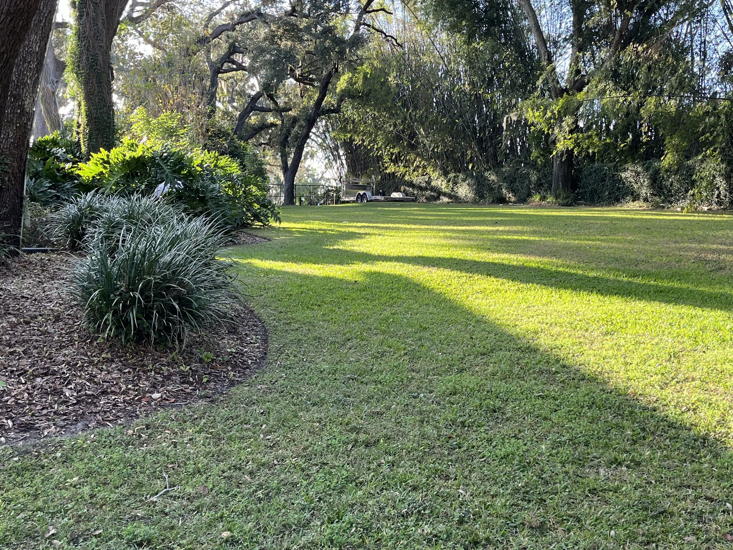 Sunlit grassy backyard with trees and bushes, a trailer and boat in the background.