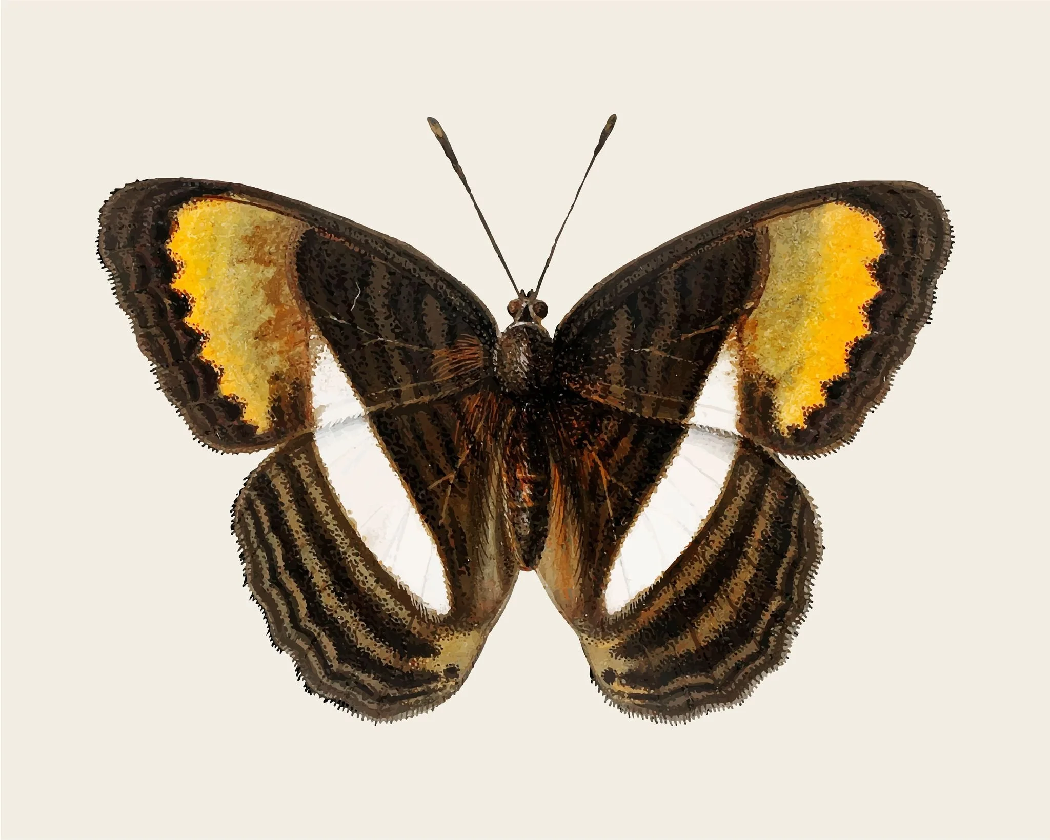 Huldra Quartet at Children's Museum of Pittsburgh