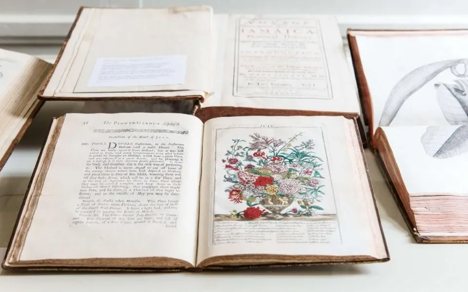 Garden Exhibition: Vistas of Vast Extension from 2018 drew on the extensive Buccleuch collection to celebrate horticulture in a range of creative forms.
Image Credit: Boughton House