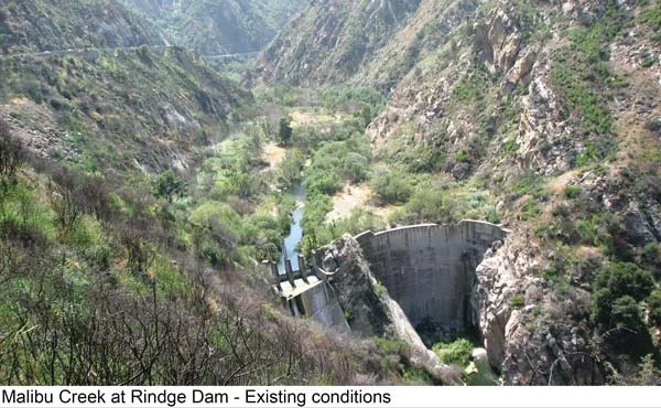 Malibu Creek F4 Study