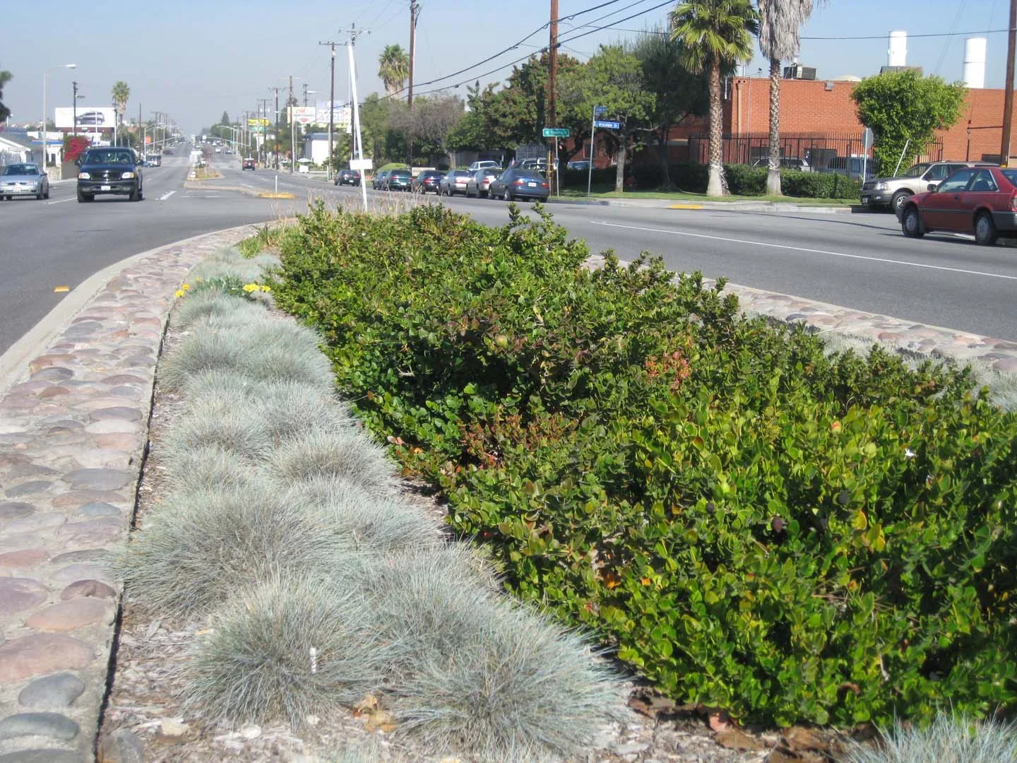 Vermont Avenue Median Phase 1 2007