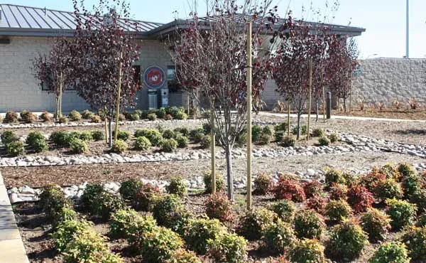 Combat Training Tank