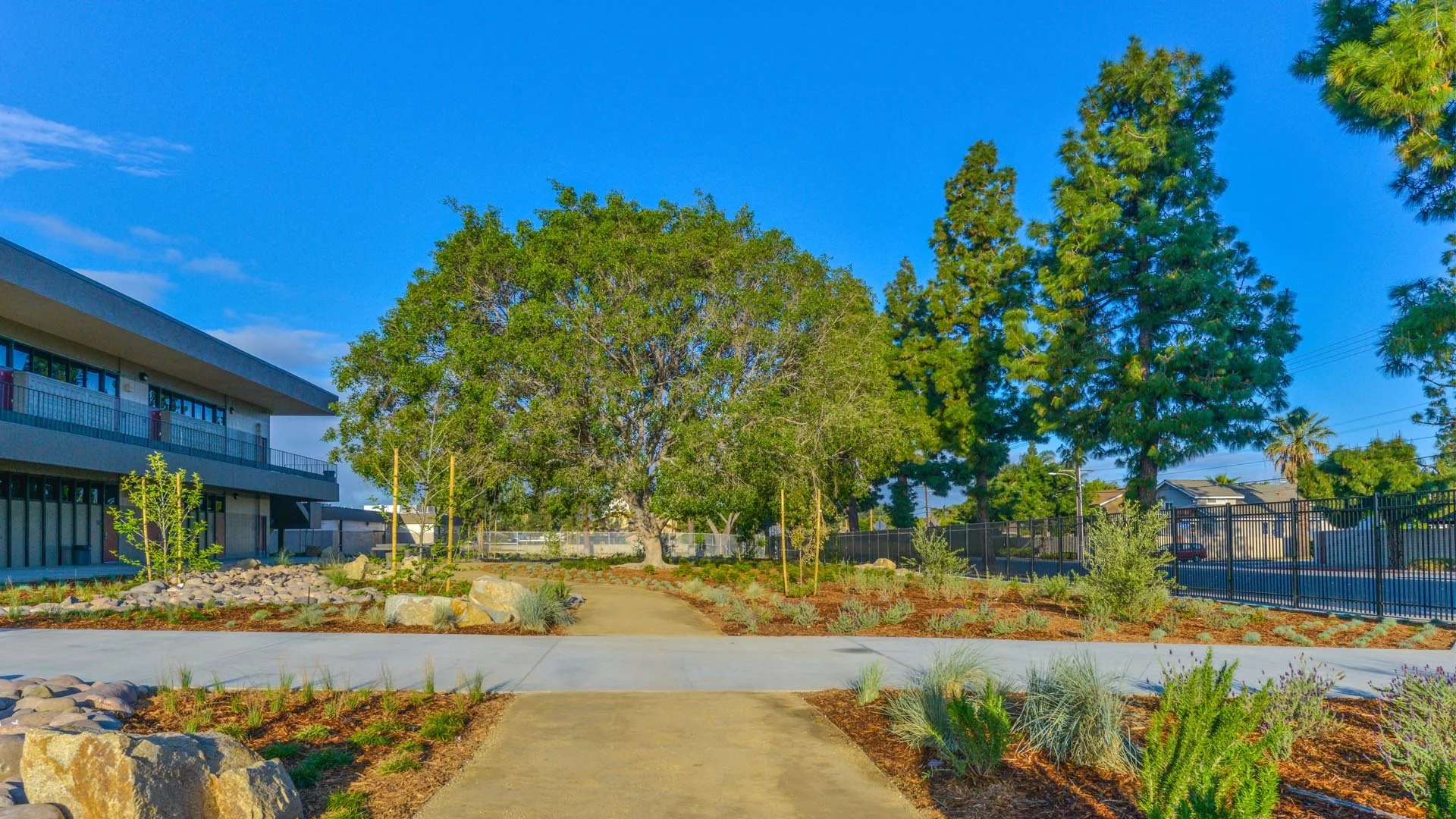 1. Katella High School- Educational.jpg