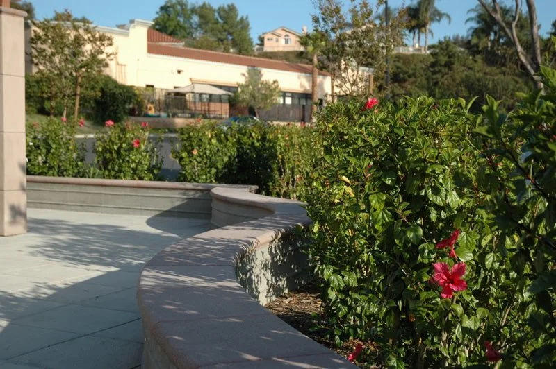 Center opening 5-9-2010 9-04-25 AM.JPG