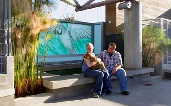 North central animal shelter