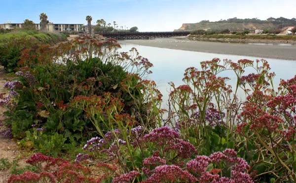 San dieguito river path