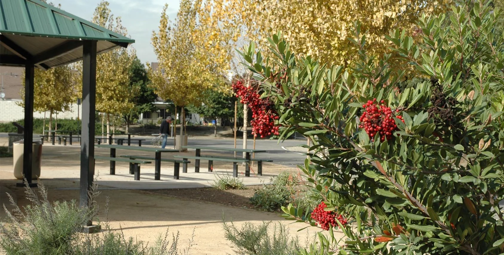 11. Paseo del Rio- Parks.jpg