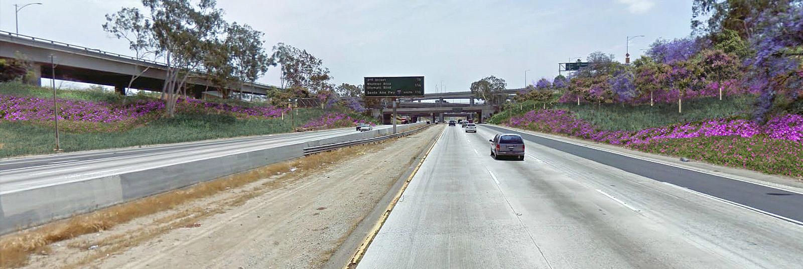Freeway Beautificaiton MTA