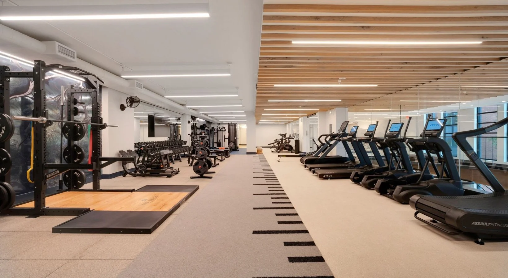 Modern, private gym with free weights, a squat rack and workout machines on the left and cardio equipment on the right, illuminated by overhead lighting, with a wooden ceiling and large windows in the background.