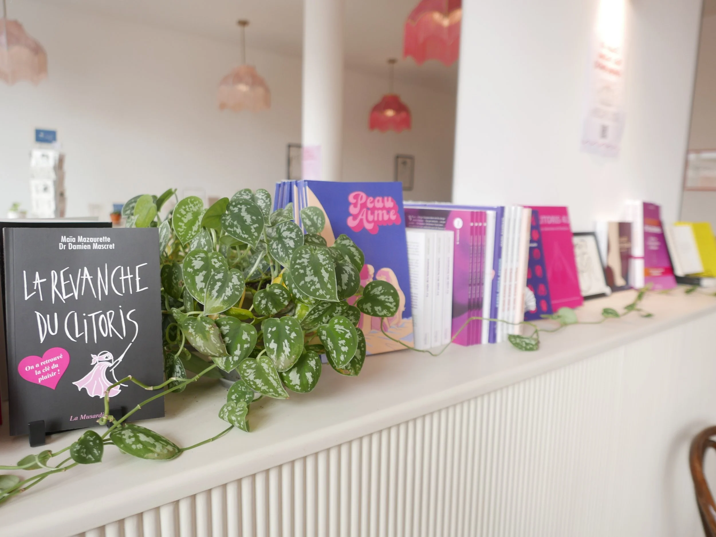 Une étagère dans une librairie avec des livres pour enfants et un plant vert. Le fond montre des lampes suspendues et des affiches roses.