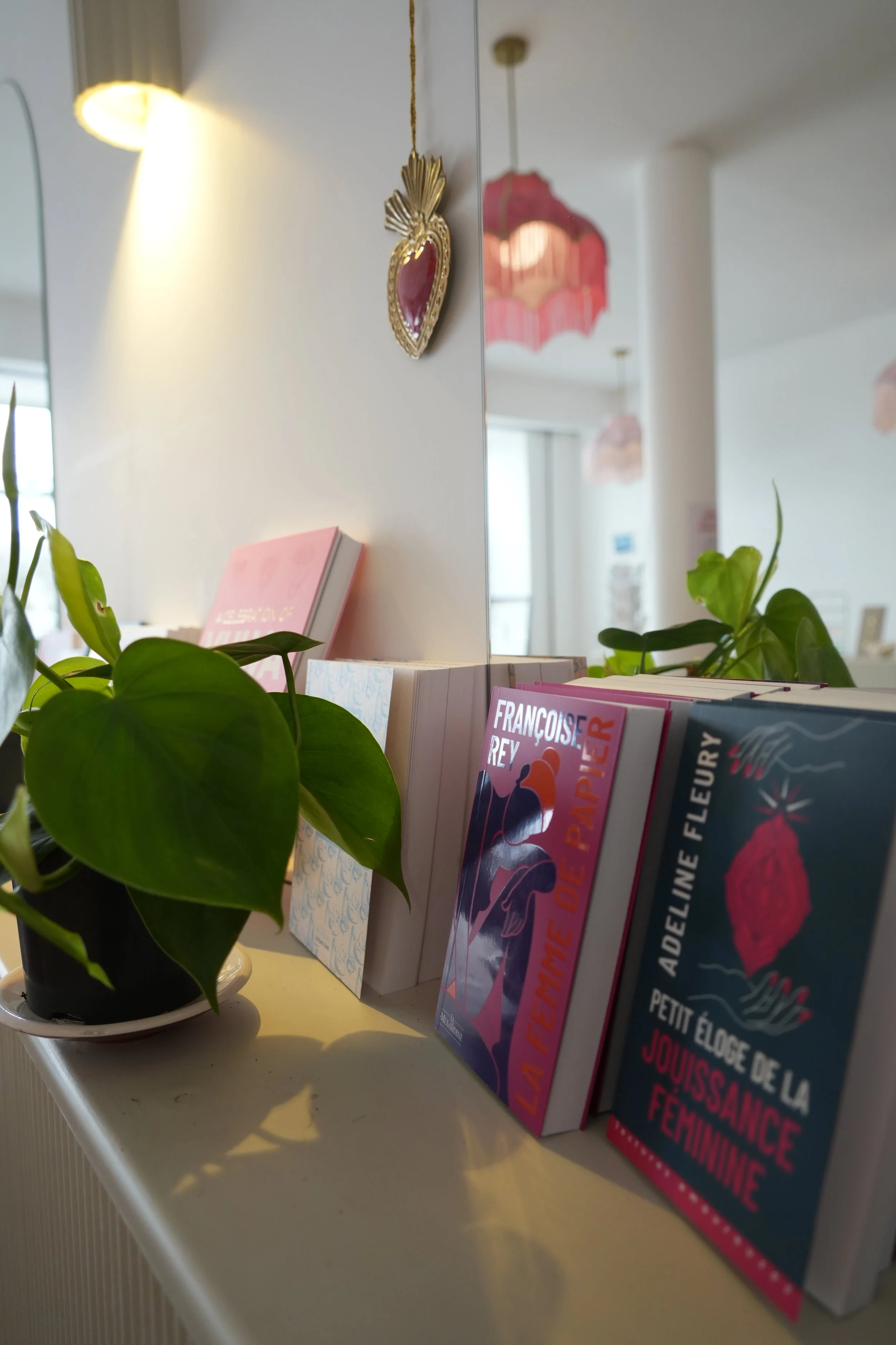 Une plante verte en pot, un livre rose, des brochures avec des titres en français, des lampes suspendues au plafond, un miroir, dans une pièce lumineuse.