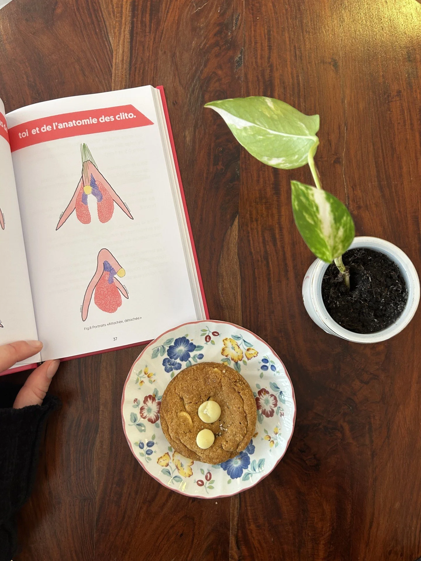 image café et clito.jpg