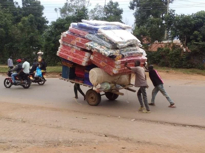 7eaee0e3-.jpg (1) (1).jpeg