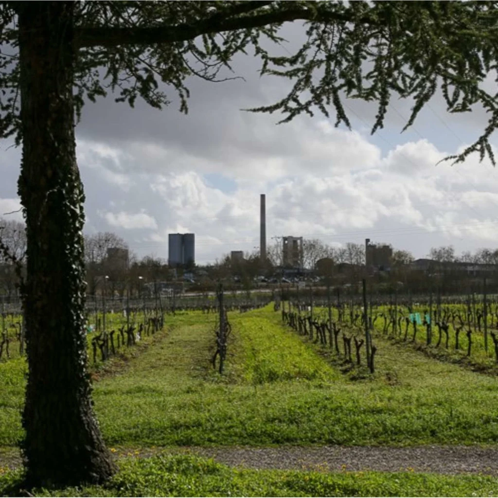 - Série - Les Oreilles sur le Sentier