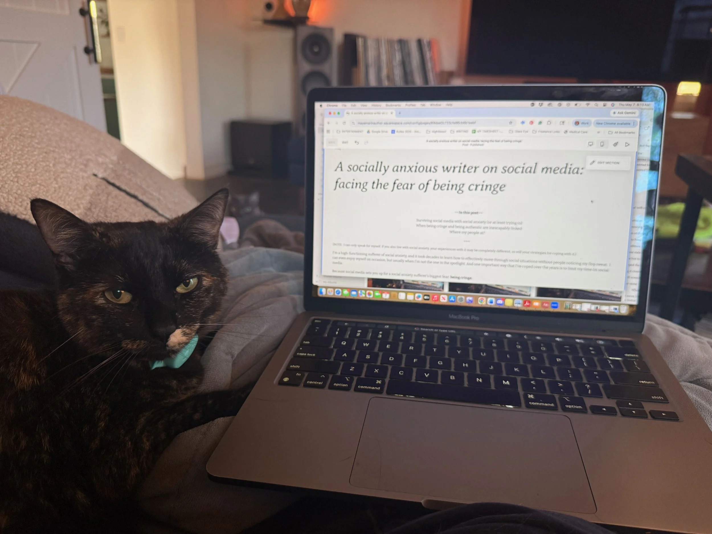 A socially anxious writer on social media: facing the fear of being cringe