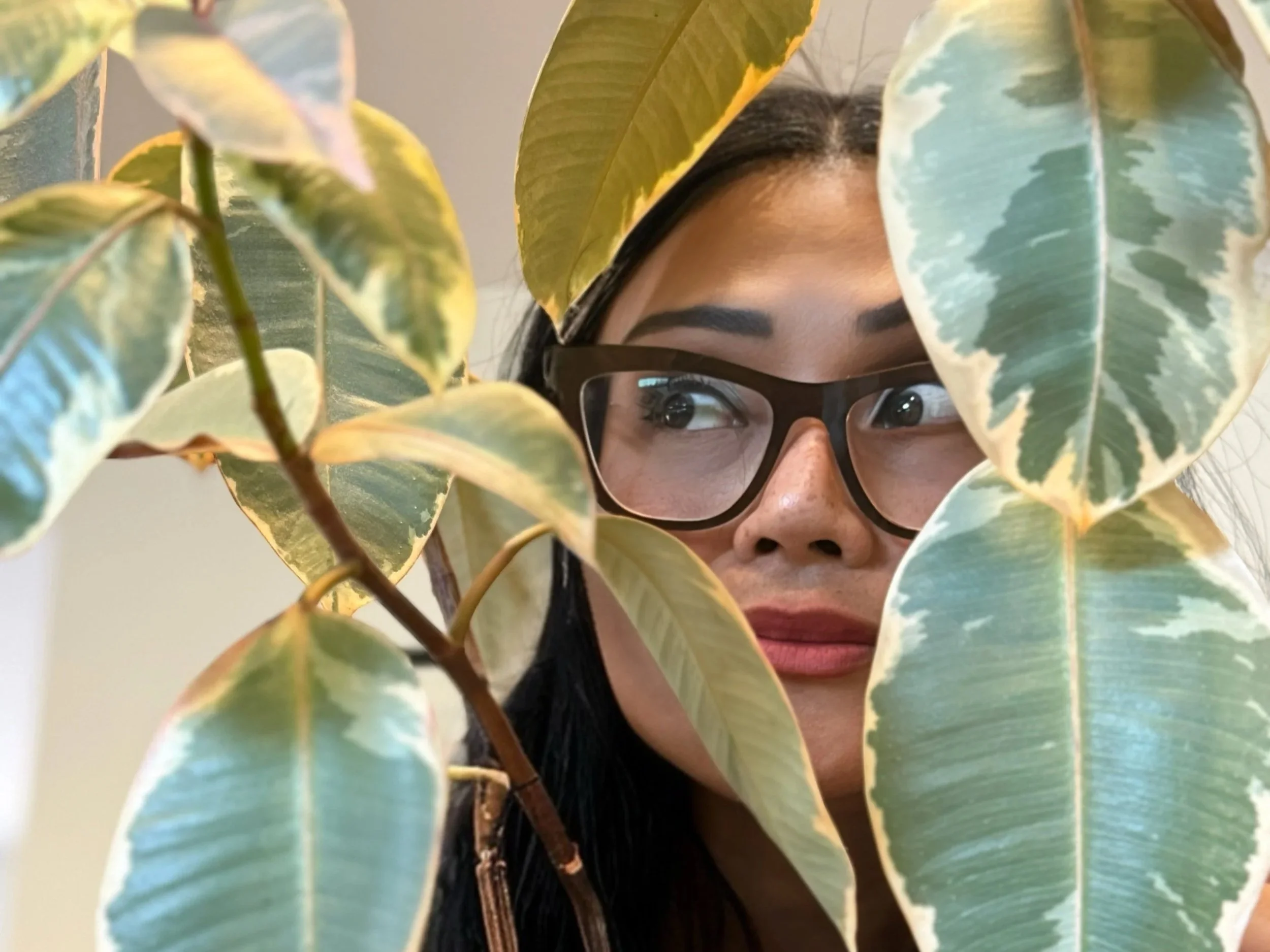 A socially anxious writer on social media: facing the fear of being cringe
