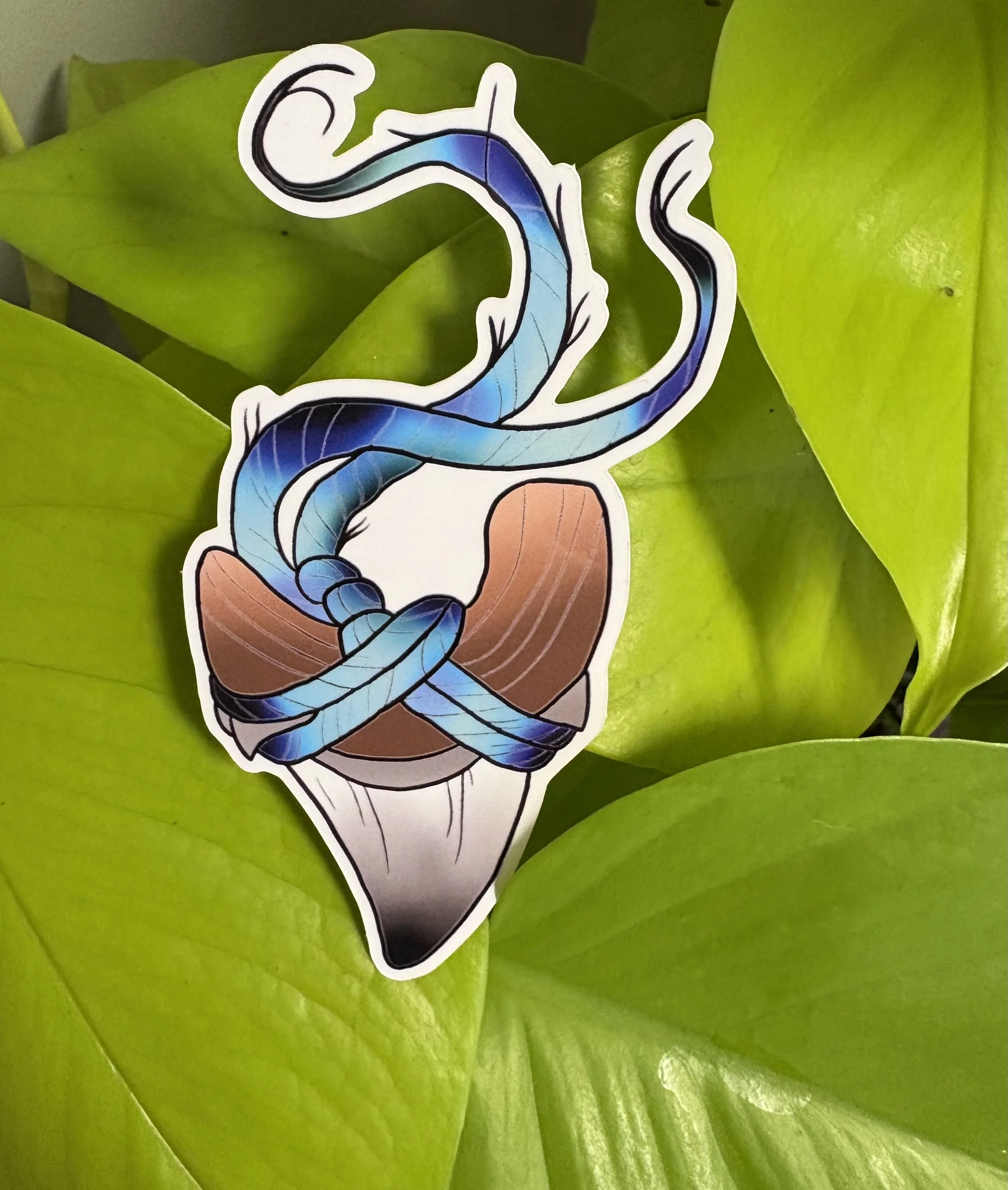 Single Shark Tooth Sticker