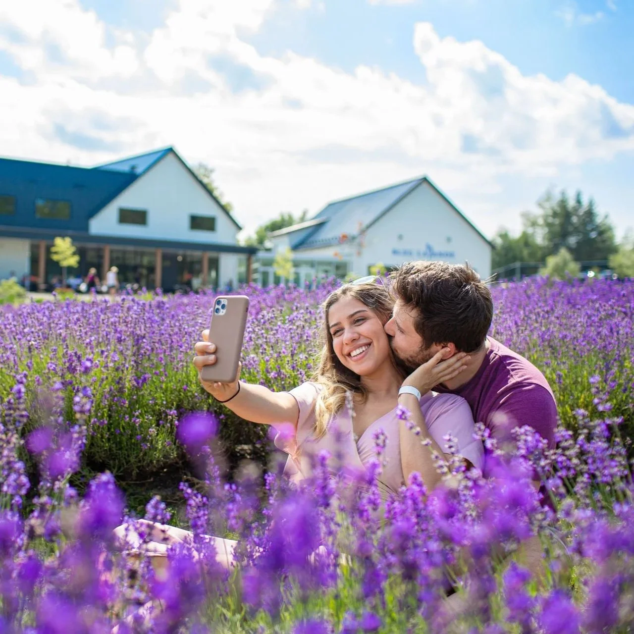 Commerciale & institutionnelle