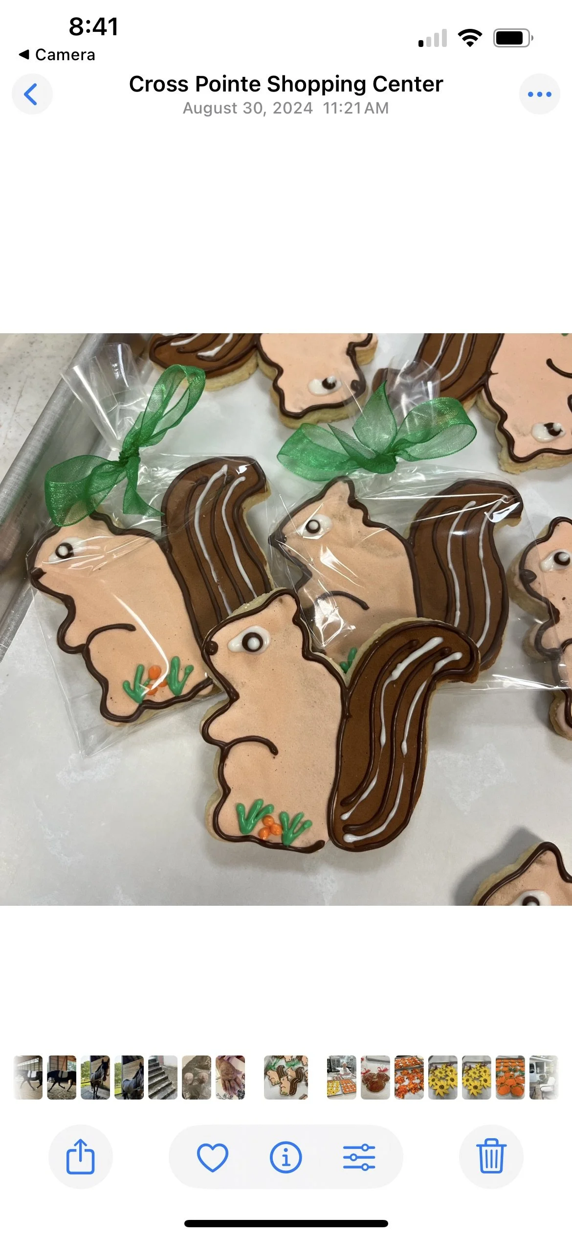 Squirrel Shortbread Cookies