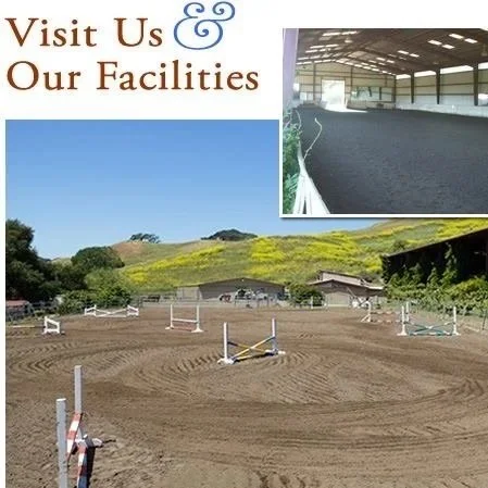 Welcome to True North Horse, located at Rancho Del Lago Stables 