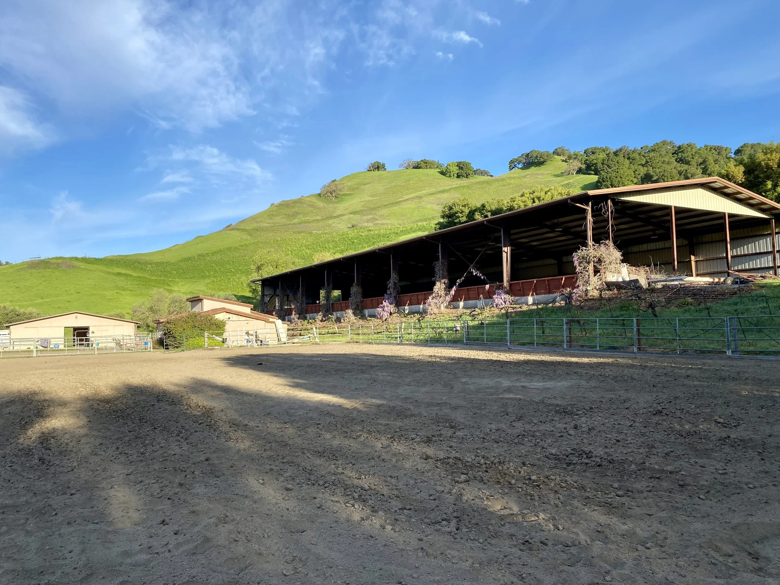 True North Horse indoor arena