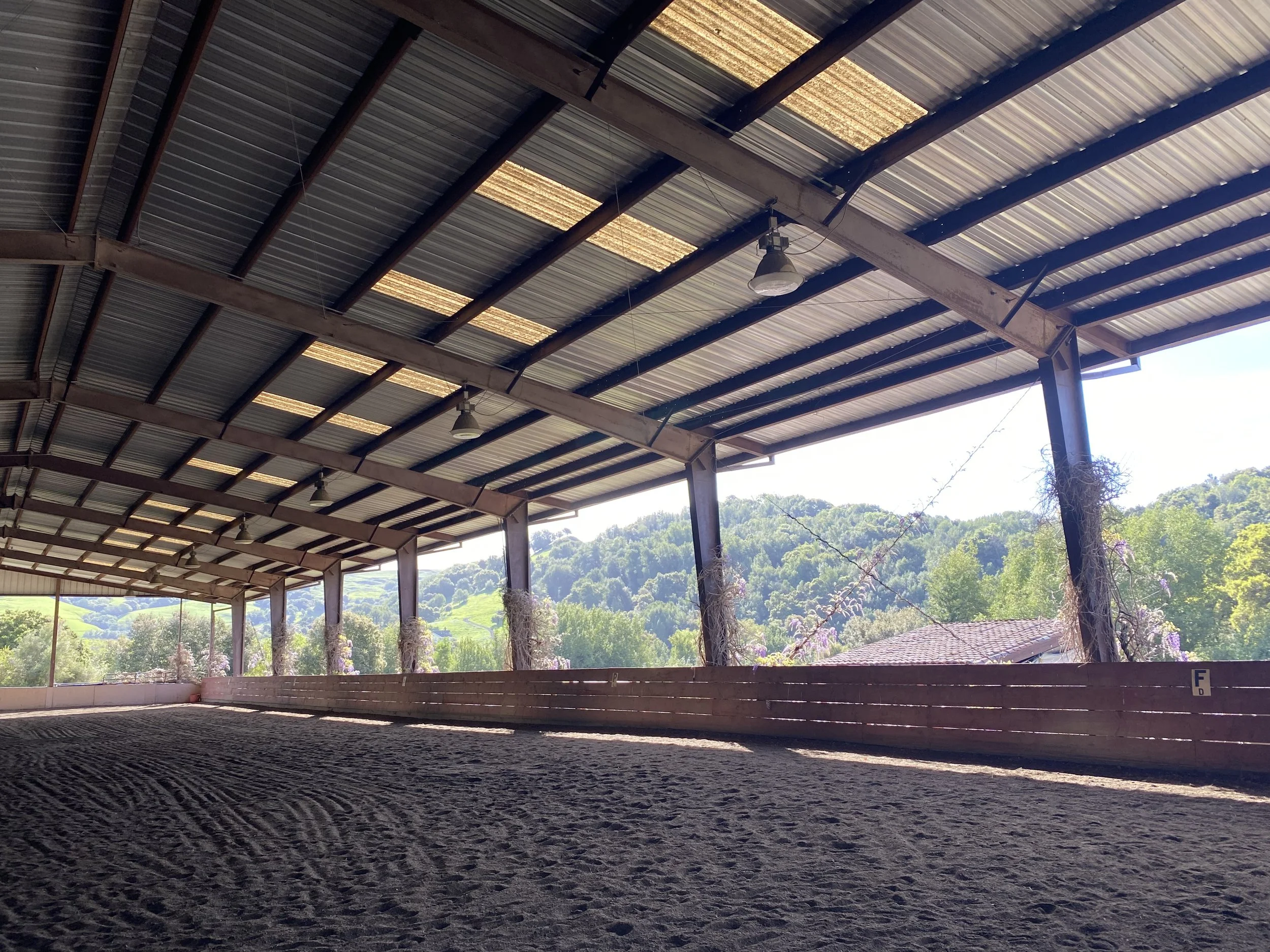 Our arena is beautiful and equipped with lights and mirrors