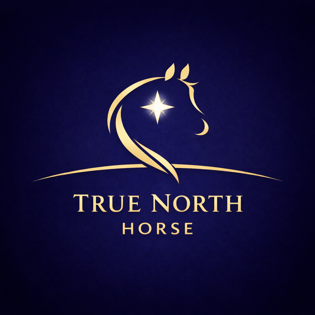 True North Horse