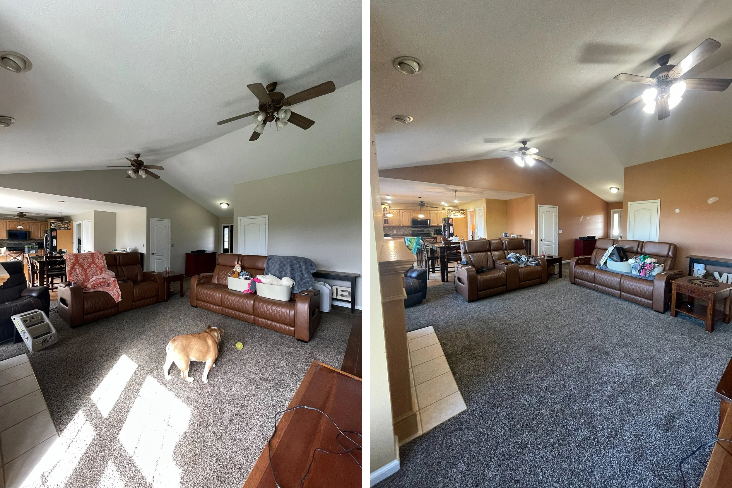 Side-by-side comparison of a living room before and after cleaning. In the before image, a small dog stands on a dark carpet with a tennis ball nearby, with furniture including leather sofas, an armchair, and a glimpse of a kitchen in the background.
